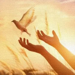 1569103194559-ad18c7bd6b894aedd784ce4ff7f33534-1920w